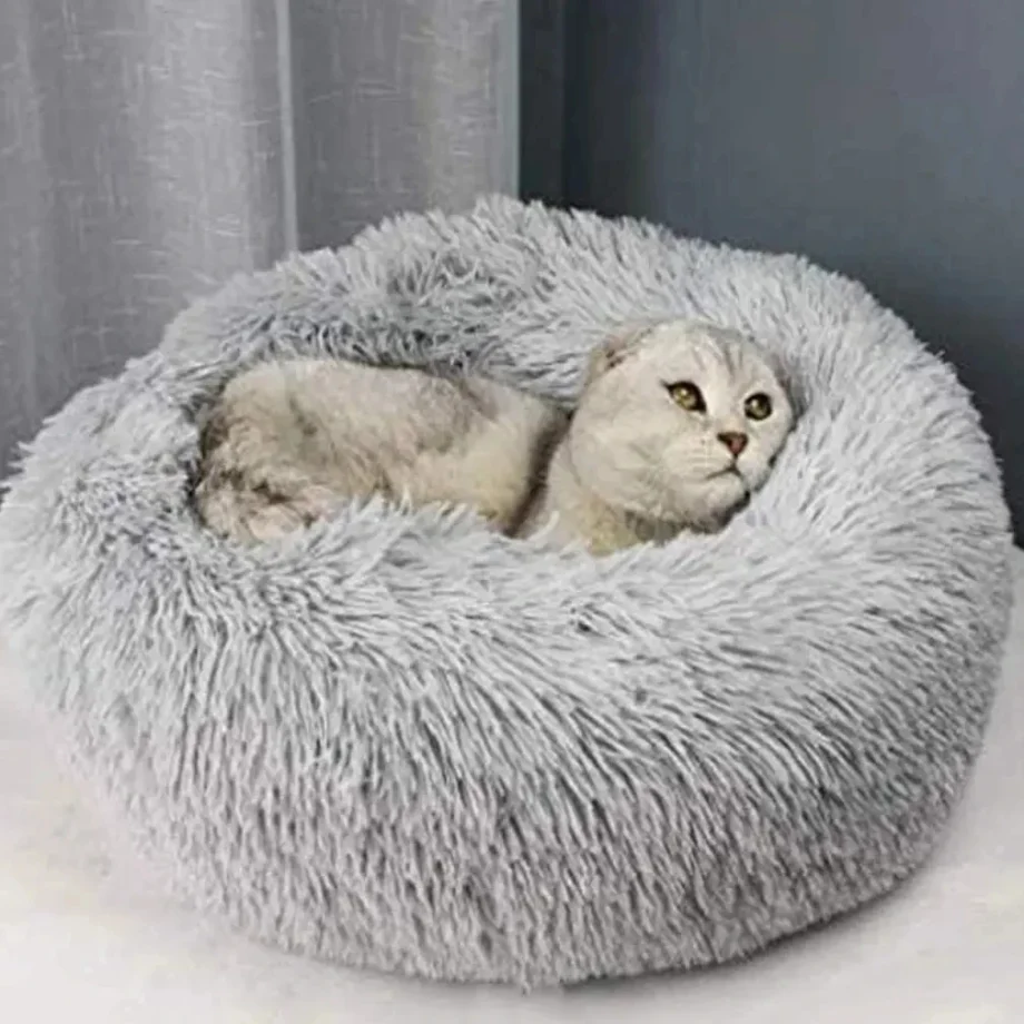 Pet Bed